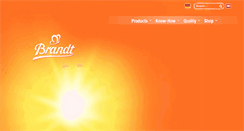 Desktop Screenshot of brandt-zwieback.de