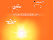 Tablet Screenshot of brandt-zwieback.de